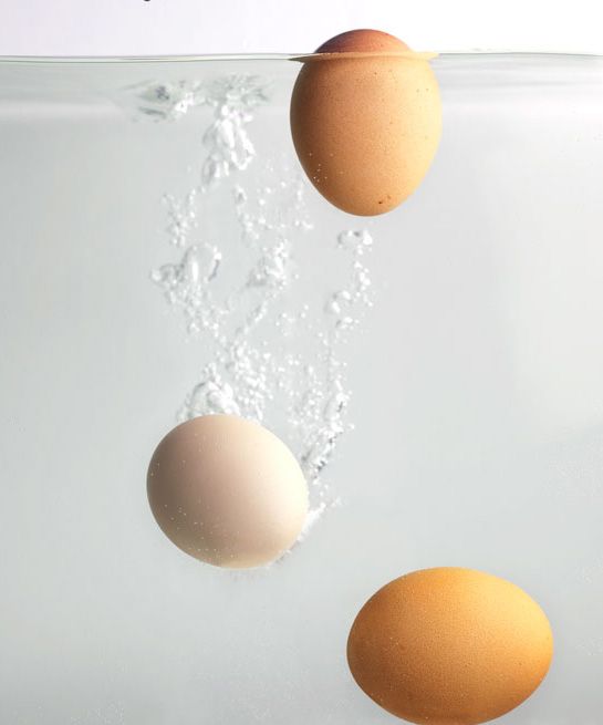 yumurtanın taze olduğu nasıl anlaşılır